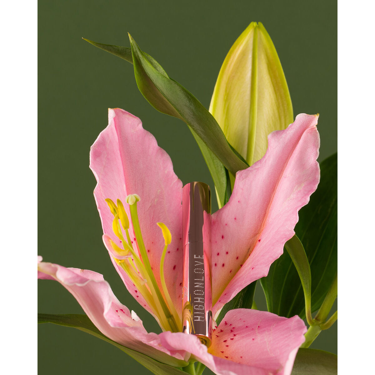 V2HA5F1081B3C94AF41914DA82F93B0D5B0R5547587P5