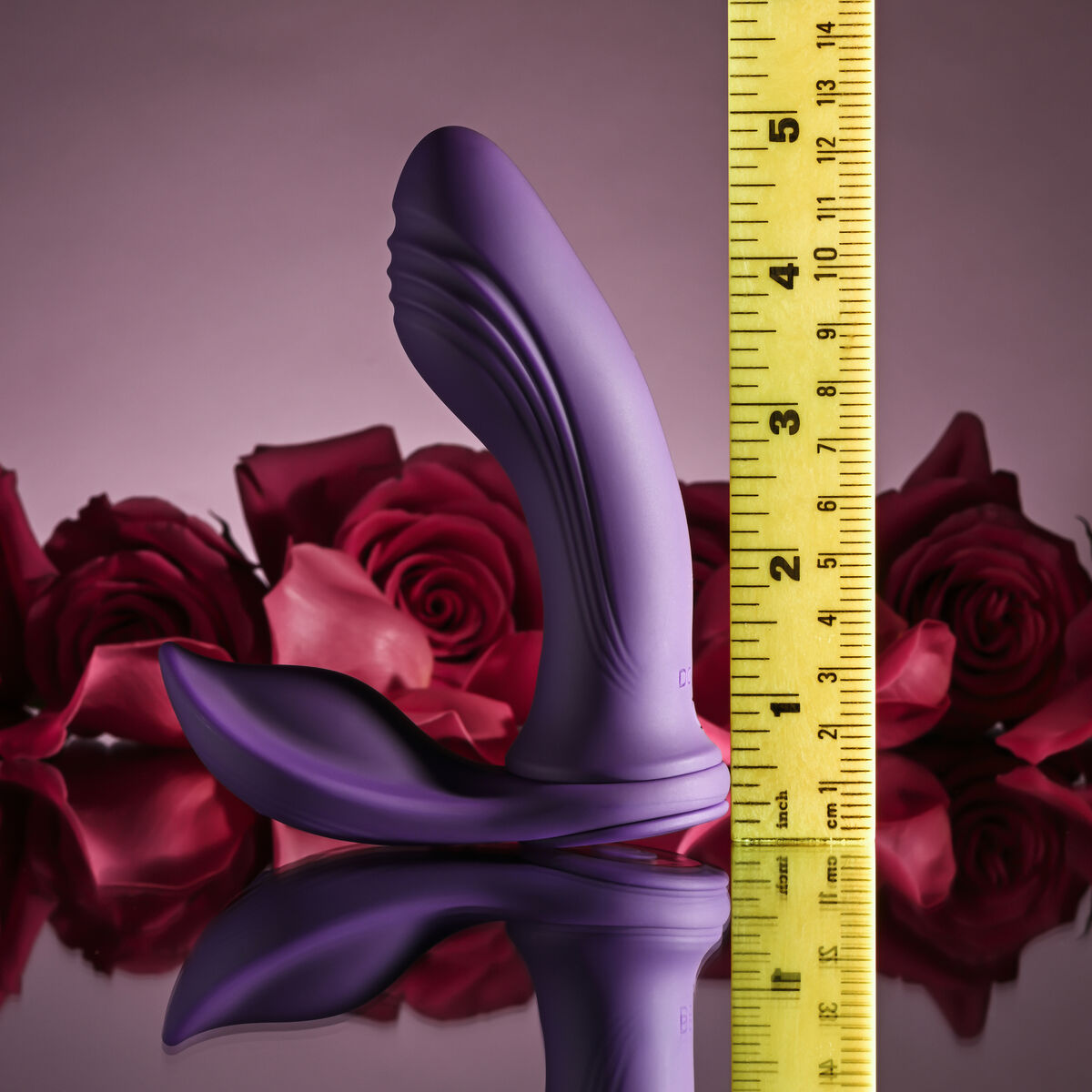 V3H93D02B9D46B486D5B80AB446AAAC225AR4876905P10