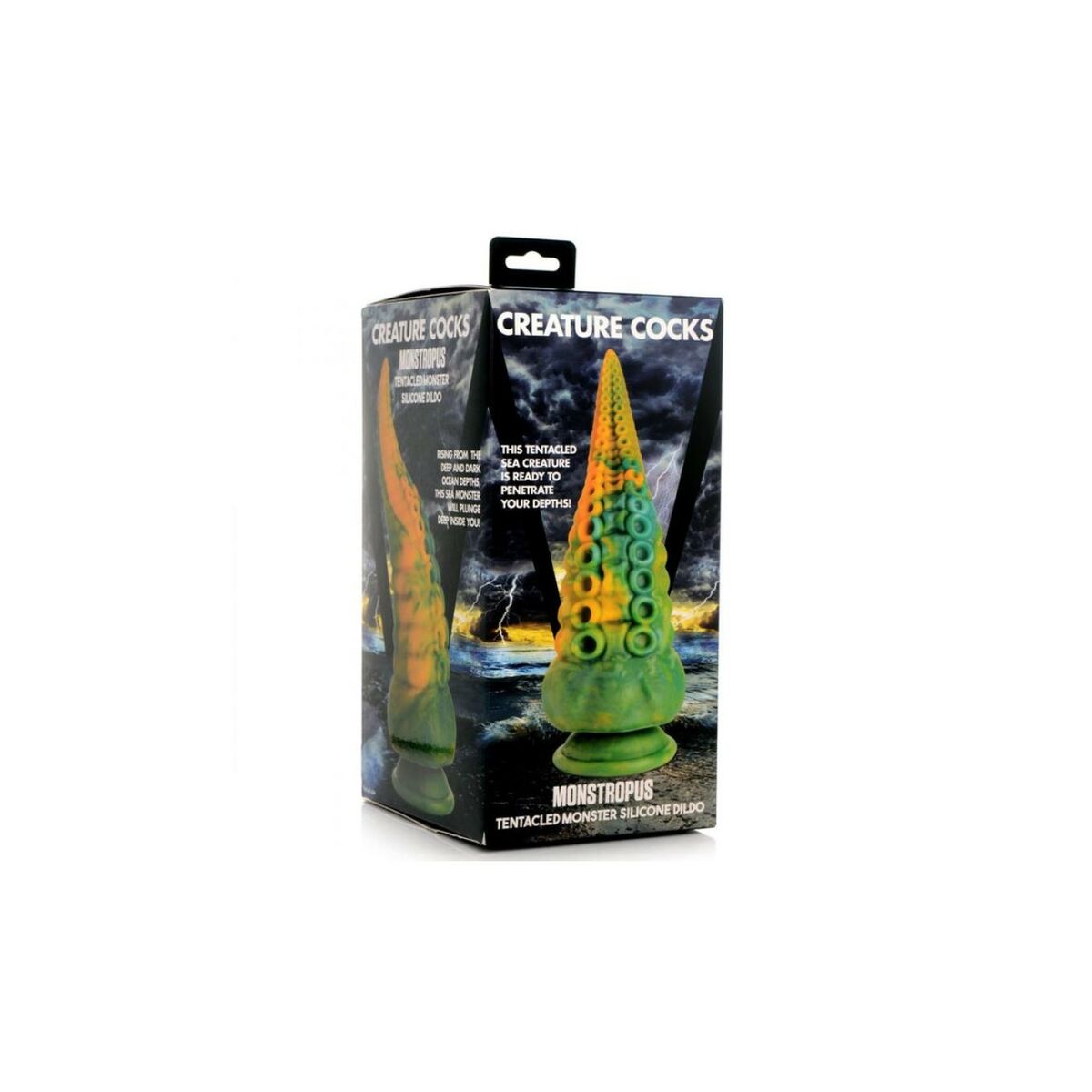 V2H369B28FC20FB752EEA2F2E936B65E4C8R5572022P3